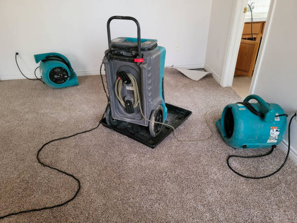 Best Water damage contractors near me  in Davenport, WA