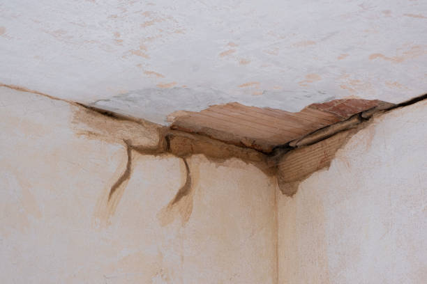 Best Flooded house restoration  in Davenport, WA