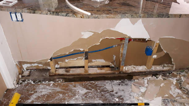 Best Carpet water damage restoration  in Davenport, WA