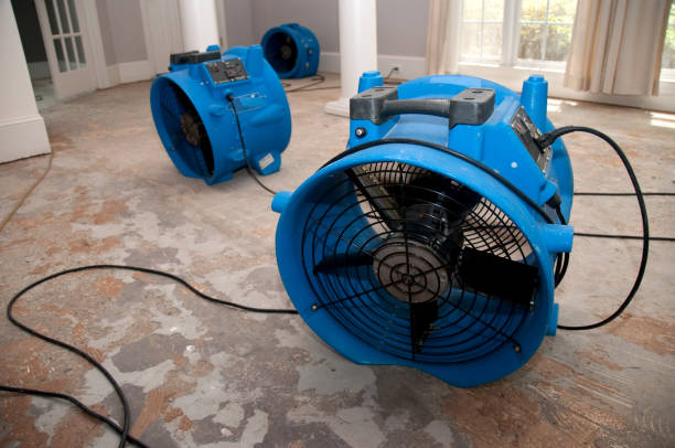 Best Residential water damage restoration  in Davenport, WA