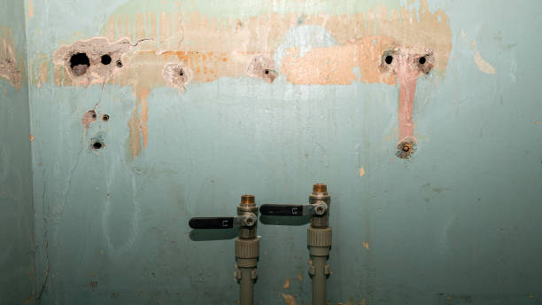 Best Local water damage restoration  in Davenport, WA